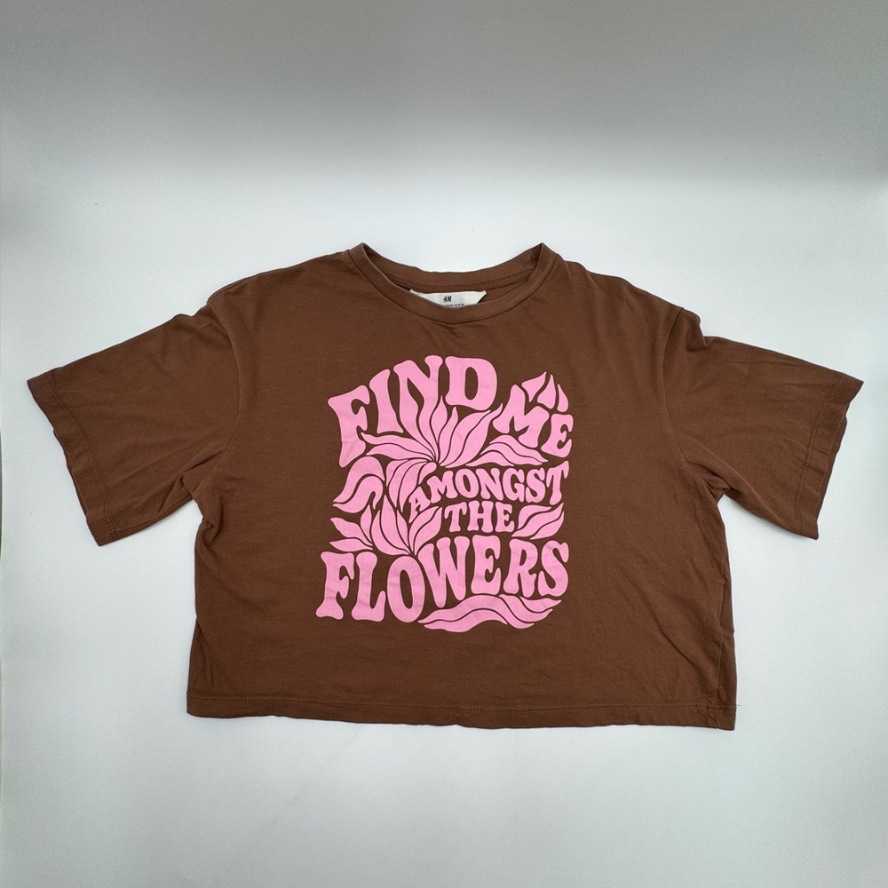 H&M Find Me Amongst the Flowers Crop Top Brown + Pink Size 12